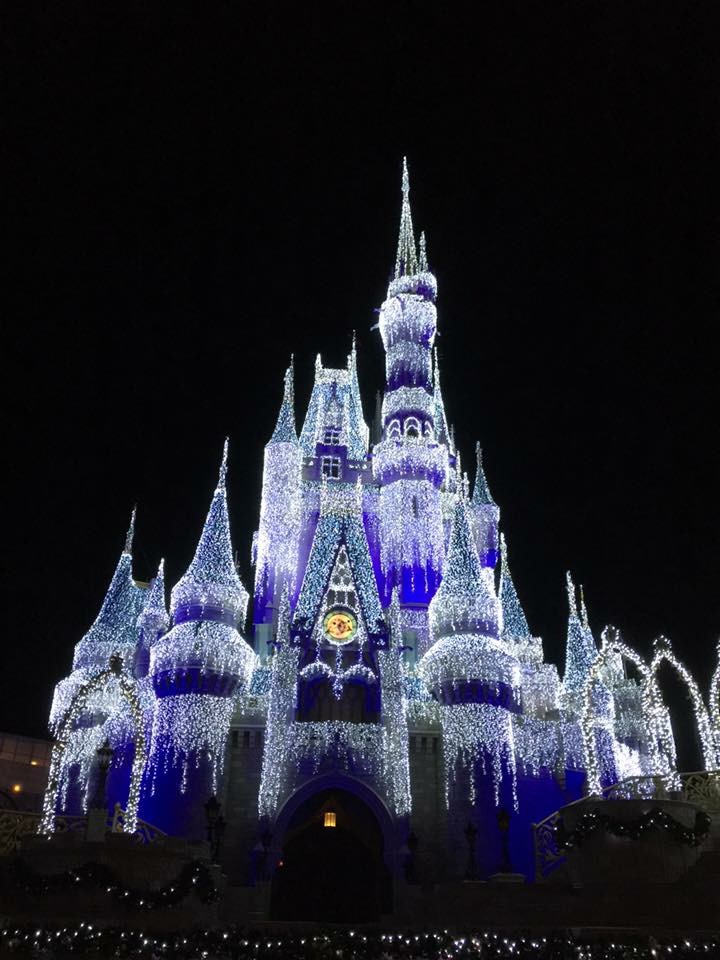 Cinderella Castle at Christmastime